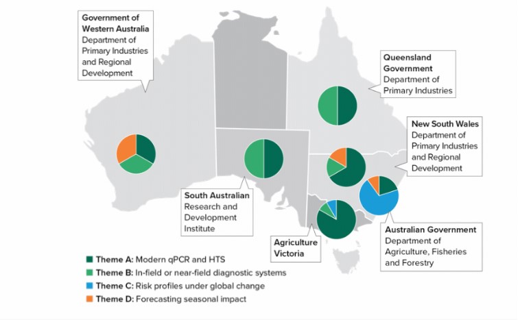 Diagram of the coordinated national grains diagnostic and surveillance programme.