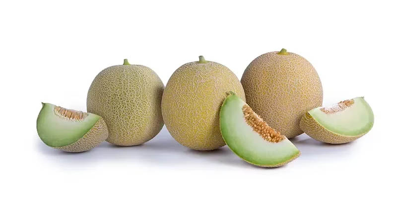 Fruto de melón mostrando la pulpa y la cavidad de las semillas.