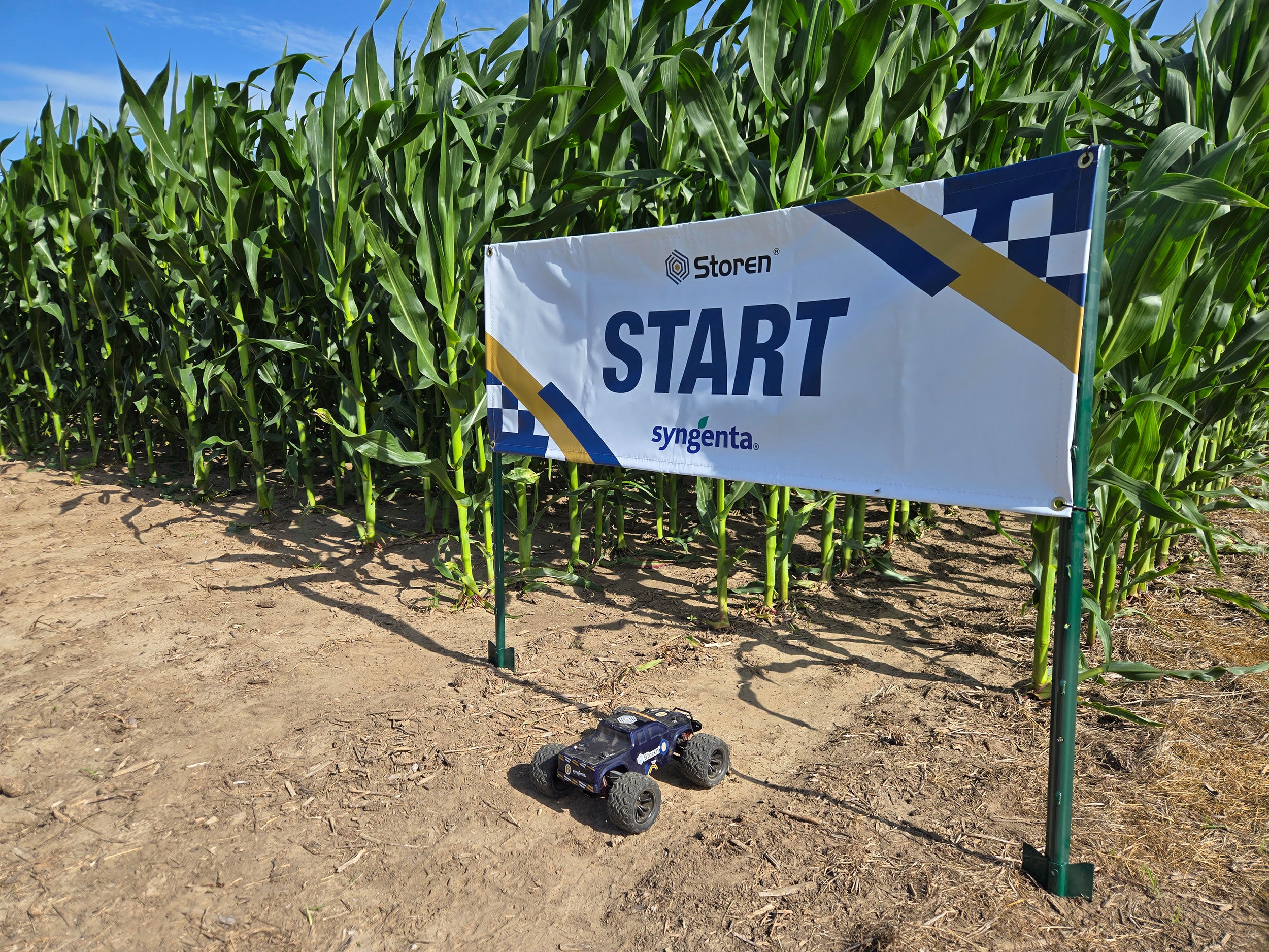 Remote-controlled model vehicles at the starting line between corn rows.